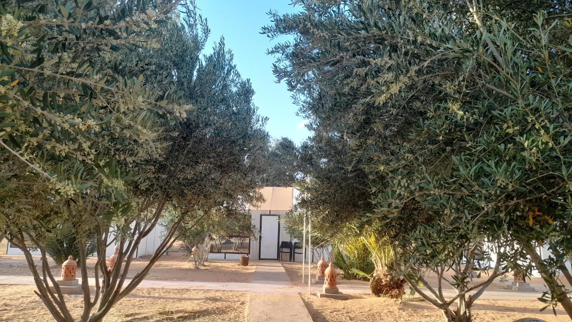 Trek Desert Morocco Sarl Taouz المظهر الخارجي الصورة